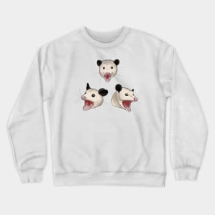 Possum Trio Crewneck Sweatshirt